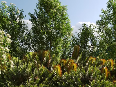 Diverse Garden Shrubs With Green And Yellow Foliage In Landscaped Outdoor Space 3d model