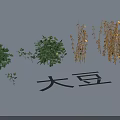 Lush Garden Landscape With Soybean Plants Green Shrubs And Yellow Vegetation