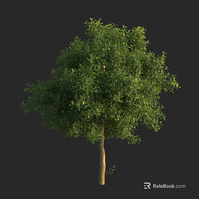 Lush Green Arbor With Dense Foliage And Yellow Fruits On Brown Trunk 3d model 