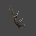 Natural Brown Deer Antlers As Decorative Wall Art For Rustic Homes