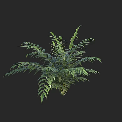 Modern Full Edge Guanzhong 3d model