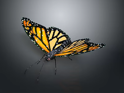 Vibrant Monarch Butterfly With Orange And Black Patterned Wings On Gray Background 3d model
