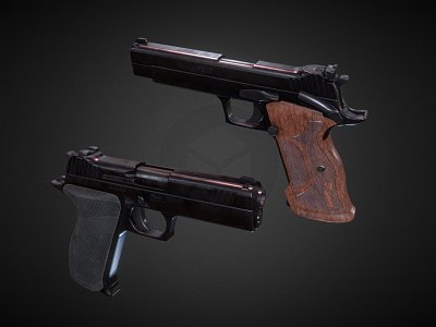 Pistol model