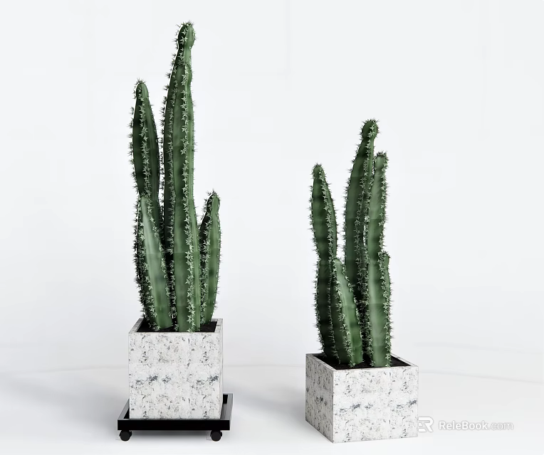 Two Cactus Bonsai Potted Plants With Square Marble Pots On White Background For Indoor Decor 3d model 