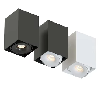 Downlight Spotlight 3d model