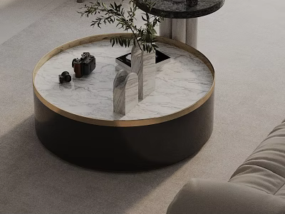 Light Colored Sofa And Round Marble Top Coffee Table With Gold Frame Decorations And Plant 3d model