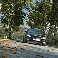 Scenic Road Facilities With Lined Trees Fallen Leaves And Passing Car