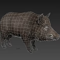 Realistic Standing Wild Boar With Gray Fur Sharp Tusks And Detailed Features