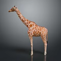 Realistic Giraffe Model With Brown Spots And Long Neck Standing On Gray Background