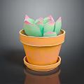 Succulent Plant with Green and Pink Leaves in Orange Pot with Saucer on Dark Surface