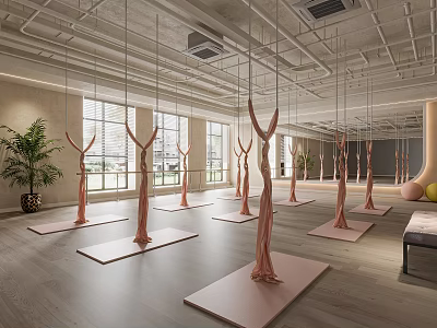 Modern Yoga Fitness Studio Interior With Sling Ropes Yoga Mats Windows And Plants 3d model