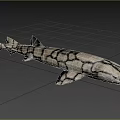 Black and white patterned shark as unique aquatic animal with distinct skin texture