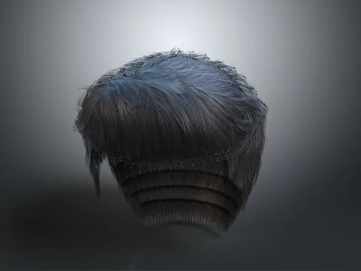 Realistic Human Head Hair 3D Model With Detailed Textured Strands 3d model