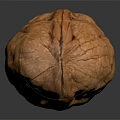 Single Natural Brown Whole Walnut With Textured Shell On Dark Reflective Background 3d model