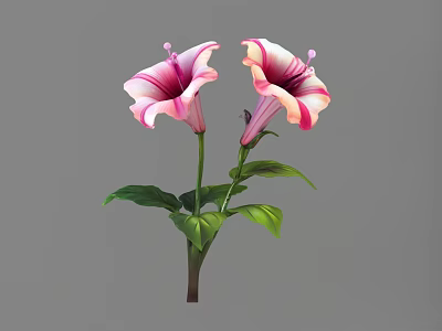 Vibrant Pink and White Flowers with Green Leaves and Stems on Gray Background 3d model
