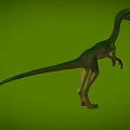 Bird-like Dragon Hunting Dragon Velociraptor Chinese Dragon Bird Microraptor Dinosaur Jurassic Low Face Number Low Model Simple Model Game Movie Level Super Realistic 3d model