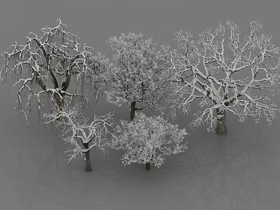 Snow Covered Arbor Trees With Various Branch Shapes In Winter Scene 3d model