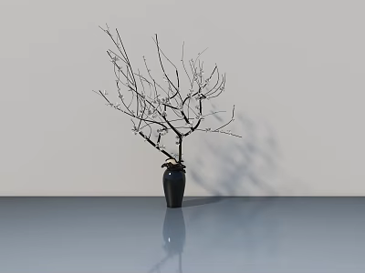 Black Vase with Bare Branches on Light Colored Wall Background and Smooth Tabletop with Shadow 3d model