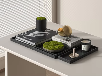 Decorative Ornament Combination on Black Tray with Books Green Moss Gold Spherical Ornament and Candle 3d model