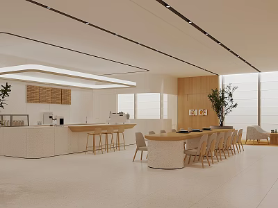 Modern Bright Break Room Interior Design With White Wooden Counter Dining Table Chairs And Plants 3d model