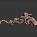 Irregular Animal Vascular Structure With Pink And Yellow Branches On White Background