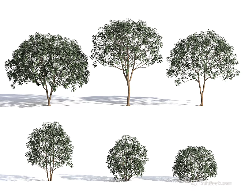 Various Arbor Tree Varieties Featuring Diverse Canopy Shapes and Sizes for Landscaping 3d model