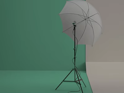 Green Background Setup With White Umbrella Softbox On Tripod Stand And Light Head 3d model