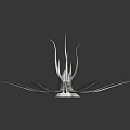 Symmetrical Green Plant With Radial Slender Leaves Central Stem And Glossy Texture On Dark Background