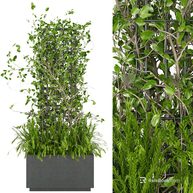 Bonsai Potted Plant With Climbing Vines Grid Structure And Green Ferns 3d model 