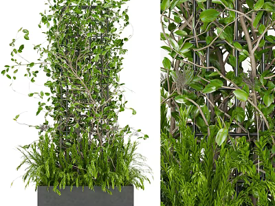 Bonsai Potted Plant With Climbing Vines Grid Structure And Green Ferns 3d model