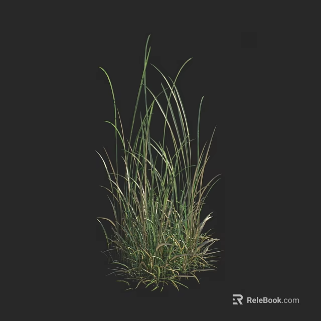 Tall Slender Green And Yellow Grass Blades Isolated On Black Background 3d model 