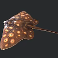 Spotted Stingray Marine Life With Brown Body And Yellow Circular Spots
