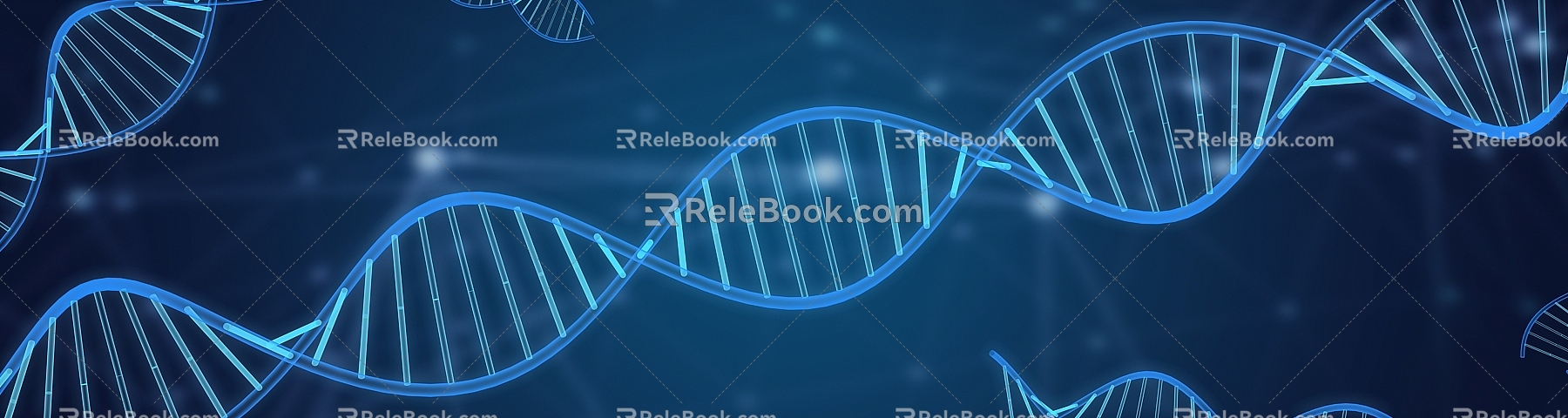 Modern DNA gene chain 3d model