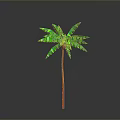 Green Leaf Palm Tree With Red Trunk Isolated On Gray Background