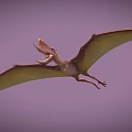 Pterosaur Flying With Open Mouth And Large Wings In Purple Sky