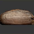 Freshly Baked Artisanal Bread With Crispy Golden Crust And Soft Interior