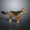 Highly Detailed 3D Fox Model In Realistic Standing Pose With Fur Texture