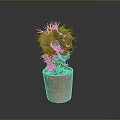 Green Spiky Cactus Plant In Orange Clay Pot On Dark Minimal Background