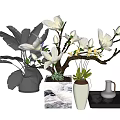 Indoor Bonsai Potted Plants With White Flowers And Decorative Black White Containers