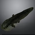 Spotted Green And Black Salamander With Long Body On Gray Background