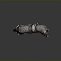 Gray Black Wolf Standing With Alert Posture On Dark 3D Rendered Background