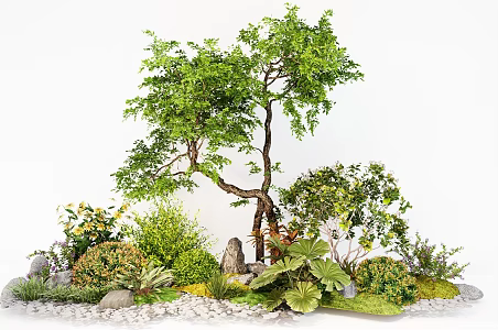 Garden plant combination shrub green plant modeling tree 3d model