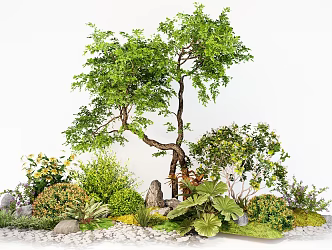 Garden plant combination shrub green plant modeling tree 3d model