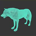 3D Wolf Model Standing Pose With Realistic Fur Texture On Dark Background 3d model