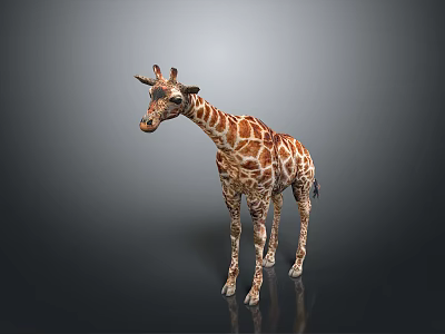 Elegant Giraffe Decorative Figurine With Spotted Pattern For Home Living Room 3d model