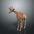 Giraffe Low Model Giraffe African Animal Toy Giraffe Muppet Toy Animal Cartoon Giraffe 3d model