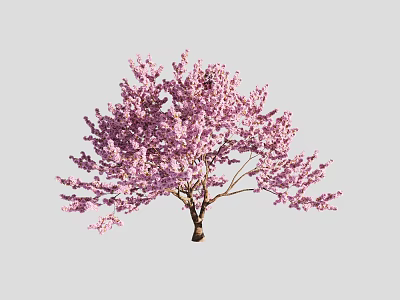 Freshly Baked Sakura Themed Desserts With Vibrant Pink Flower Garnishes 3d model