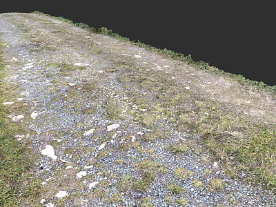 Natural Garden Path Paving With Gravel Stones Grass And Moss Design 3d model