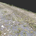Natural Garden Path Paving With Gravel Stones Grass And Moss Design