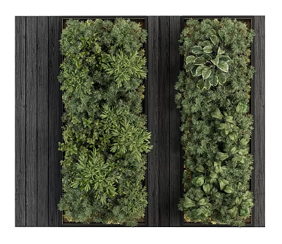 Vertical Living Green Plant Wall Design With Diverse Green Plants And Dark Wood Backdrop 3d model